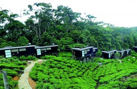 The Rainforest Ecolodge opens, celebrates LEED Platinum Award for sustainable tourism