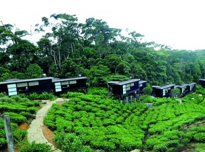 Rainforest Eco Lodge