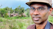 The case for conserving elephant landscapes