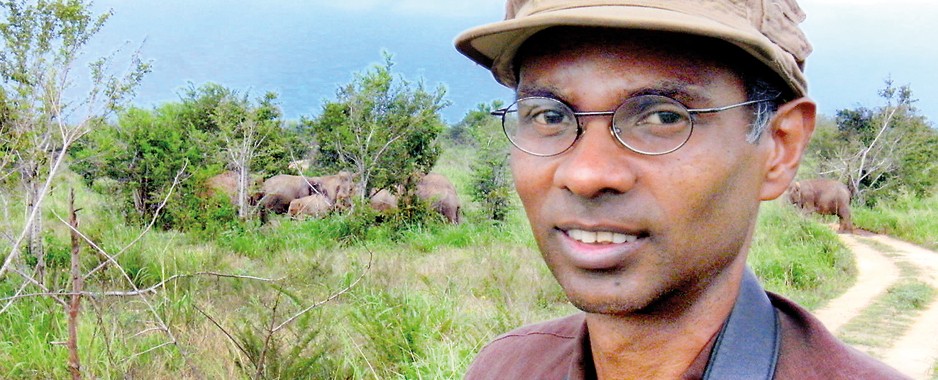 The case for conserving elephant landscapes