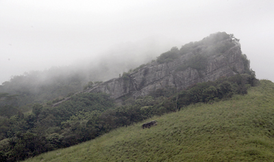 Mist