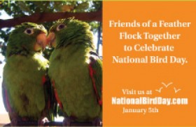 National Bird Day : 5th January (USA)