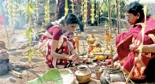 Cleaning, cooking and decorating: It’s Pongal in our village