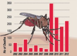 Dengue: Take it more seriously,  say  health officials