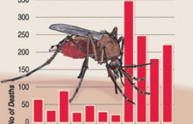 Dengue: Take it more seriously,  say  health officials