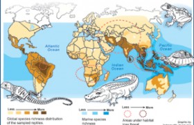 Human activities driving reptiles to extinction