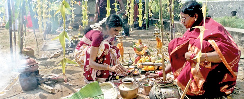 Cleaning, cooking and decorating: It’s Pongal in our village