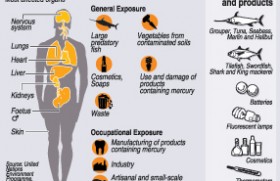 Mercury watchers issue health warning