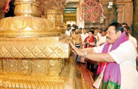 From Temple Trees to Thirupathi Temple