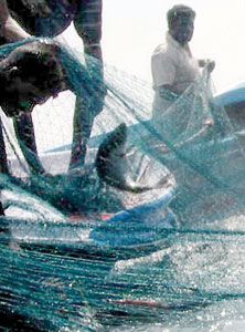 A Laila net:  Our cameraman caught these fishermen  using the killer Laila net with  an unfortunate dolphin trapped in it