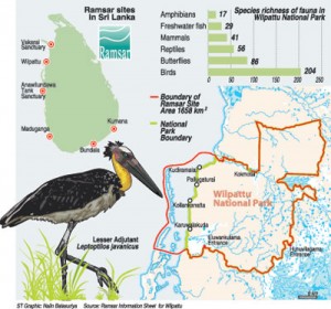 Wilpattu-Graphic