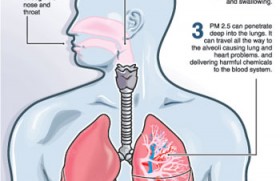 Hike in respiratory diseases among children due to heavily polluted air