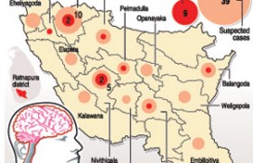 Open gem pits and pigs – main cause for spread of Japanese encephalitis