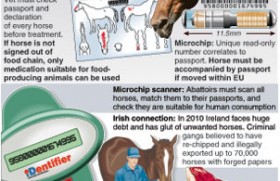 EU approves testing plan to halt horsemeat scandal