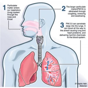 AirPollutionGra