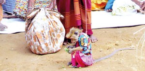 A gypsy man holds his pet monkey on a leash