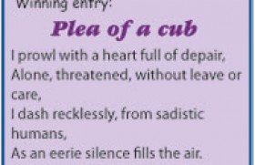 Plea of a cub
