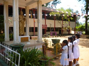 The School Environment