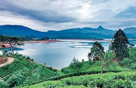 Sri Lanka is best for ‘culture vulture’ honeymooners