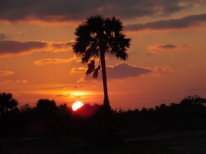 Sunset across Karainagar sea. Business Times senior writer Quintus Perera took this picture during a visit to Jaffna last week with a delegation of Lankan travel agents examining the infrastructure for hotels and other facilities.