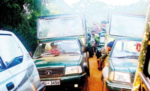 A traffic jam in Yala National Park  (Pic by  Manouri Gunawardena)