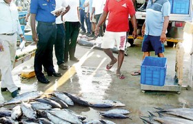 Catch confiscated, Indian fishermen remanded