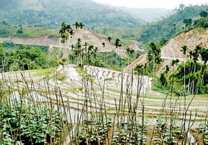 Agricultural lands that will be  submerged under the Uma Oya project