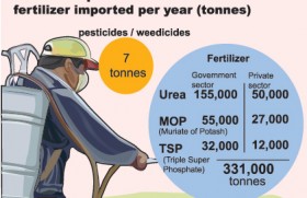 Authorities say fertiliser, pesticides use not contributory factors