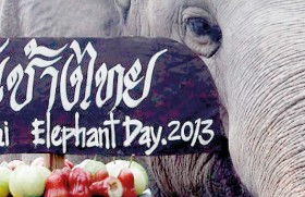 Elephant day
