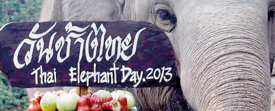 Elephant day
