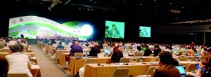 The 16th Conference of Parties (COP16) in progress