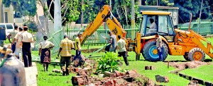 CMC workers working on the ‘beautification’ of the city. Pic by Mangala Weerasekera