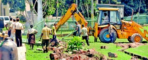 CMC workers working on the ‘beautification’ of the city. Pic by Mangala Weerasekera