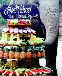 Thai elephants celebrate national day in their honour