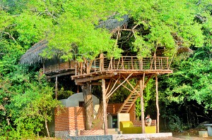 The Damba tree-house