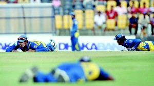 Sri Lankan players try to evade a wasp attack