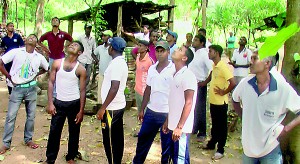 Villagers, officials of the Forest Dept.  and members of the public gaze at the tree tops  where the animal was perched