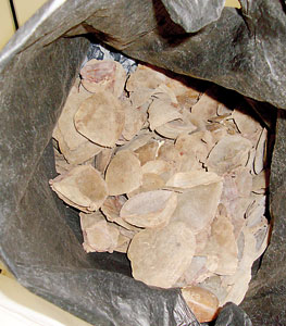 An Indian was nabbed while trying to smuggle out 2.2 kg of pangolin scales out of Sri Lanka