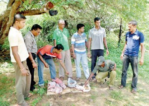 Some of the illicit meat that was found during the raid