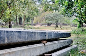 World Heritage site in danger with power  lines coming up in nature sanctuary