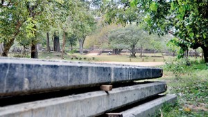 Concrete posts for the power line brought into the sanctuary