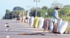 Life amidst caring village folk and abundant wildlife