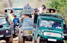 Law of the jungle in Lanka’s premier wildlife park