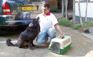 Gayan Wickramaratne with a canine friend