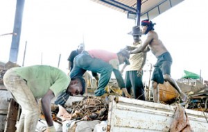 Men at work at Chandana’s scrap yard. Pix by Susantha Liyanawatte