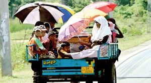 Seeking shade from the scorching sun by whatever means available  (above and below). Pix by Indika Handuwala