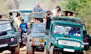 Safari going awry: Jeep drivers are accused of taking the law into their hands with scant regard for the park’s rules
