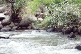 Romance and Adventure at River Garden Belihuloya Romance and Adventure at River Garden Belihuloya