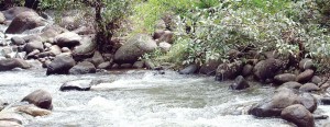 River-Garden-Belihuloya