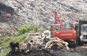 Transforming garbage  into ‘gold’ compost